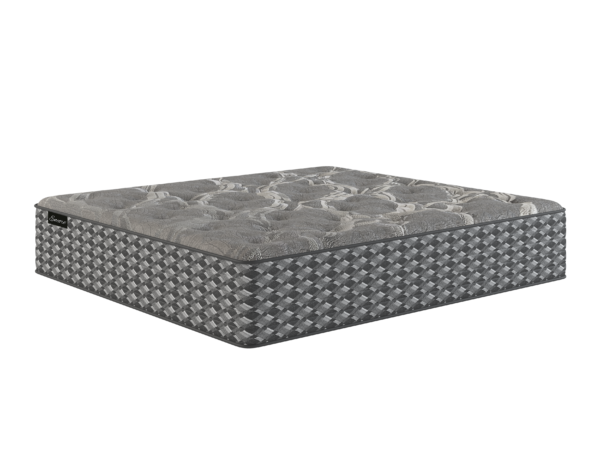 oasis plush mattress bluffton